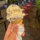 덤보 라운지 | 뉴욕 여행 치안 걱정 없이 브루클린 덤보 야경 워킹투어 코스