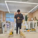 힐링멍텔 네이버블로그