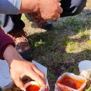 산수리농장 이미지