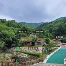 대나무랜드 이미지