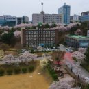 신창면 순천향로 이미지