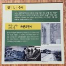 달성습지 생태 학습관 이미지