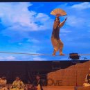 진가세소리 이미지