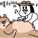 함정 낙곱새 이미지