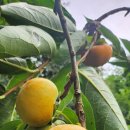 한덕농장 이미지