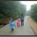 뱀사골야영장 이미지