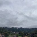 죽림공동체 이미지