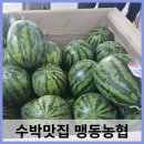 맹동농협 하나로마트