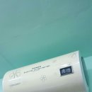 홍지연애견샵 이미지