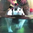 숲 동물의료센터 이미지