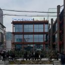 핑크엘리펀트 | 블루 엘리펀트 성수 방문 후기｜매장 분위기와 성수동 거리 구경까지