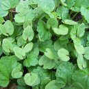 윤성농장 이미지