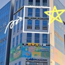 윌리캠퍼스어학원