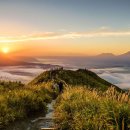 번영렌트카 이미지