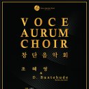 Voce Aurum Choir 창단음악회 이미지