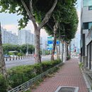 예준애견미용학원