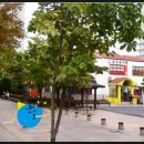 은조유치원 이미지