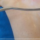 에스엔티스포츠 이미지