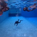 클럽나인(club9) | 대구 프리다이빙 원데이 강습 체험 후기(두류다이빙풀장, 다이버스클럽)