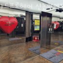 리챠드프로헤어 이미지