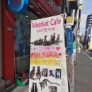 에덴미어캣프랜즈 | [서울 - 명동] 에덴미어캣프랜즈