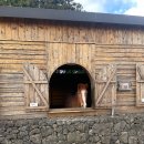 복합목장 이미지