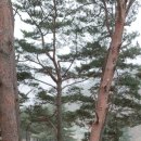 백운힐링밸리 이미지