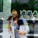설미 이미지