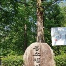 용소웰빙공원 이미지