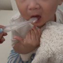 우리또래어린이집 | 래디어스 칫솔 공구 퓨어베이비 토츠 가격 연령별 추천 어린이집 입소 준비물 (-1/25)