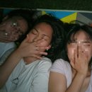 블랙피그 - 시흥시 황고개로352번길 13 | 블랙피그