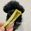 혼자멍냥 이미지