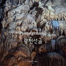한국장애인문화강원특별자치도협회 태백시지부 | 평창여행 아이랑 가볼 만한 곳 박쥐가 살고 있는 동굴 광천선굴