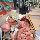 그린애견 이미지