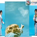 용인대 I 태권도장 이미지