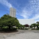 보정골 한식부페 이미지