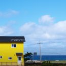 나무앤씨 키즈 이미지