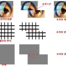 1. 카메라의 이해 이미지