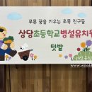 자연초교병설유치원 이미지