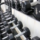 바디라인업 이미지