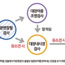 알파메디케어 네이버블로그