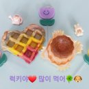 너만멍냥