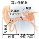 귀 소제 지나치면 위험。 피부에 상처가 나서 염증이 생기고, 귀지를 안쪽으로 밀어 넣는다 이미지