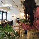 카페제인 - 천안시 동남구 터미널9길 50 | 카페제인