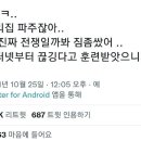 KT 통신 장애로 가장 긴장했던 지방 사람 이미지