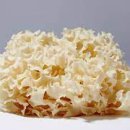 꽃송이가 이미지