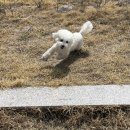 사랑가득한유치원 이미지