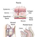 오피티스튜디오 이미지