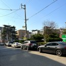 데이지플라워샵 이미지