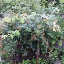 하모니민박 이미지